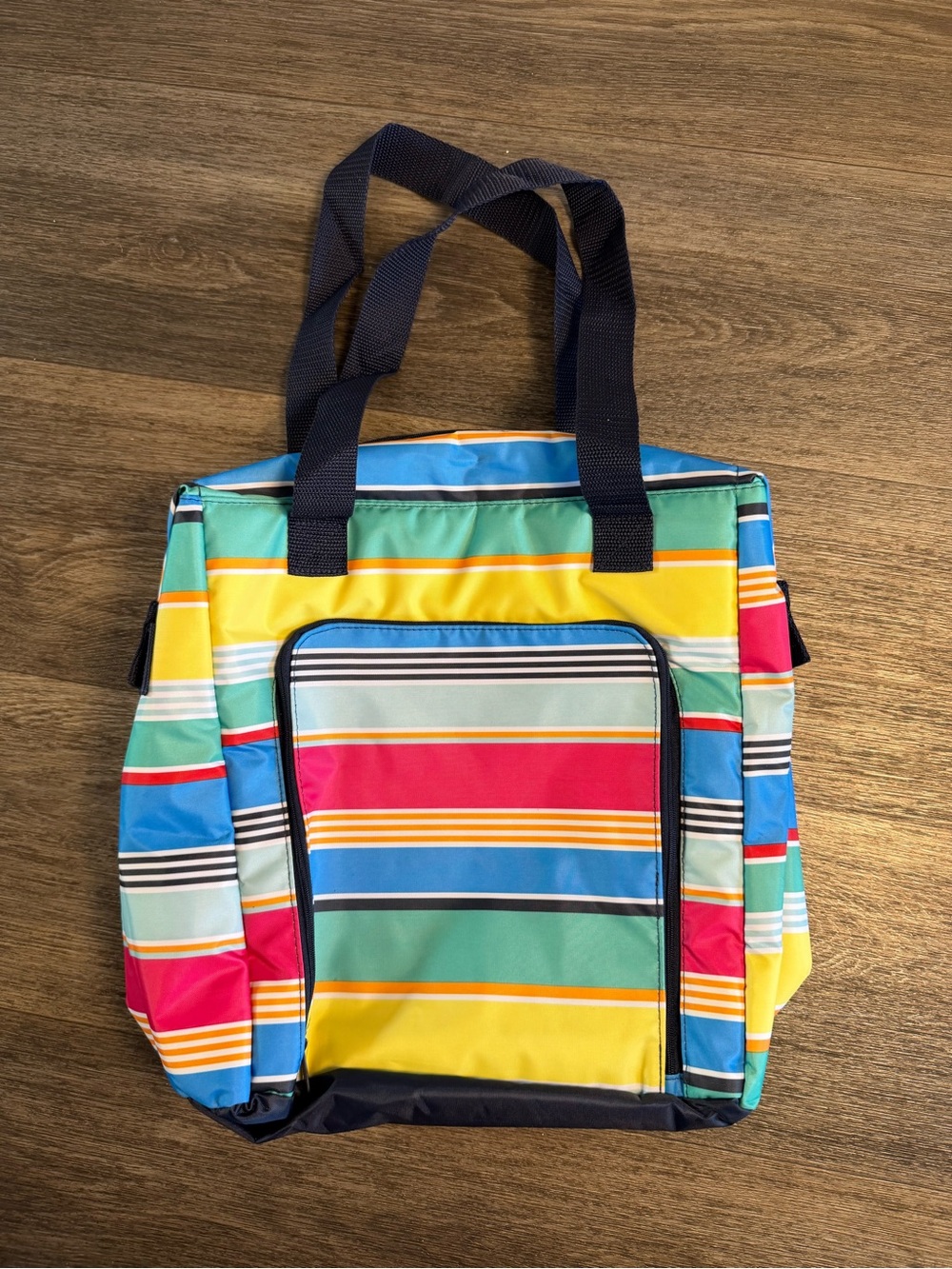 Thirty One Thermal Striped Multi-Color bag